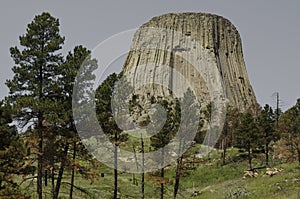 Devil's Tower photo